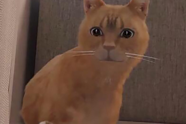 皇家宠物食品H5游戏