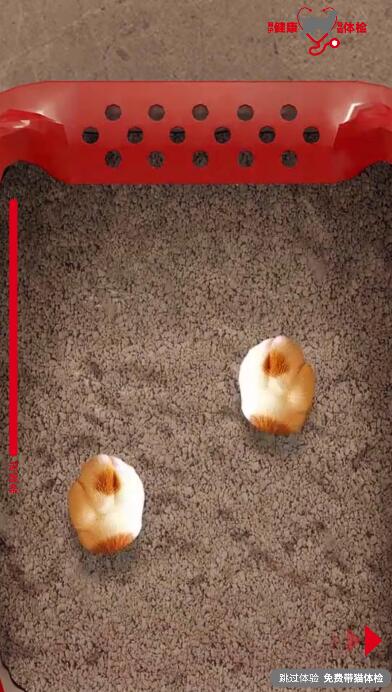 模拟刨猫砂动作